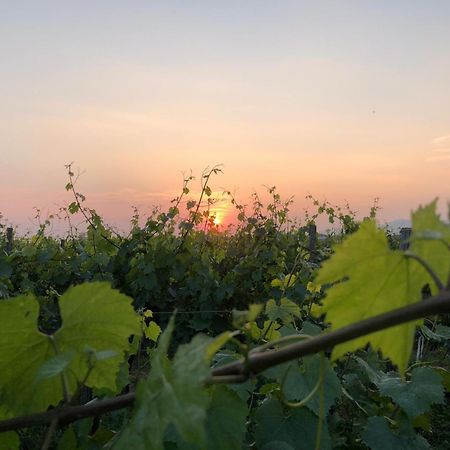 エルブスコLa Corte Del Bona - Vicino Alle Cantine E A Circa 15 Minuti Dal Lago Di Iseo -アパートメント エクステリア 写真