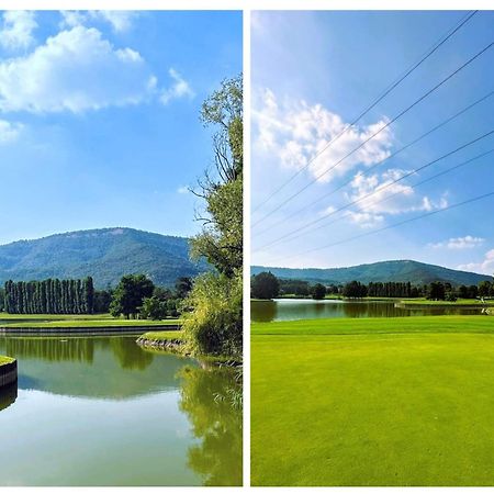 エルブスコLa Corte Del Bona - Vicino Alle Cantine E A Circa 15 Minuti Dal Lago Di Iseo -アパートメント エクステリア 写真