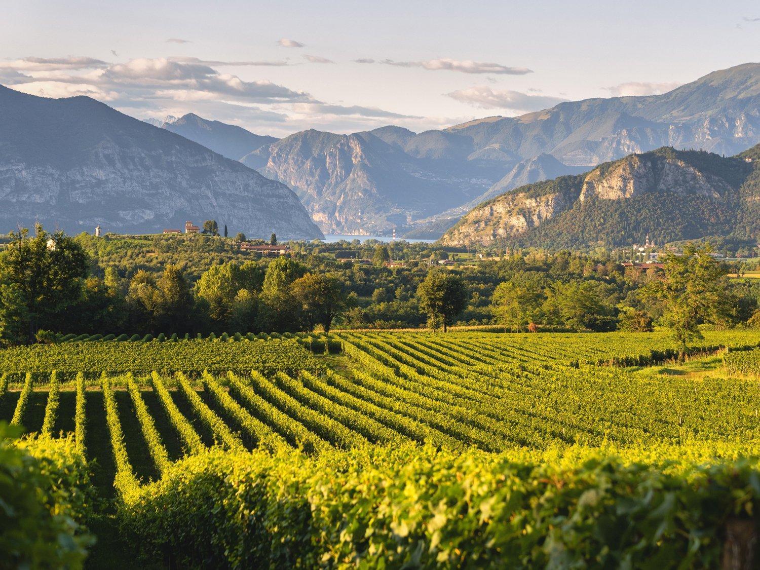 エルブスコLa Corte Del Bona - Vicino Alle Cantine E A Circa 15 Minuti Dal Lago Di Iseo -アパートメント エクステリア 写真