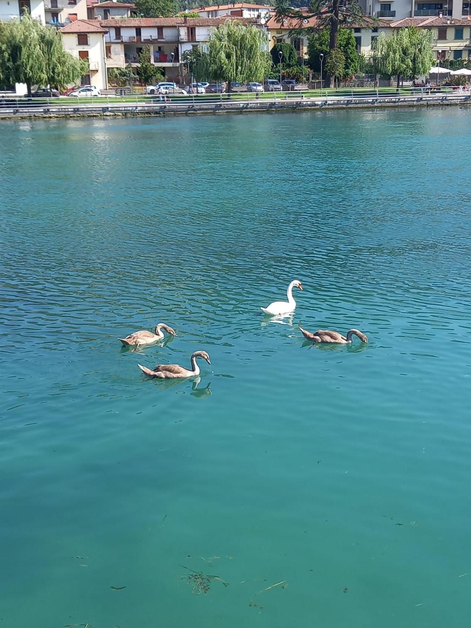 エルブスコLa Corte Del Bona - Vicino Alle Cantine E A Circa 15 Minuti Dal Lago Di Iseo -アパートメント エクステリア 写真